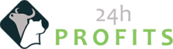 24hprofits